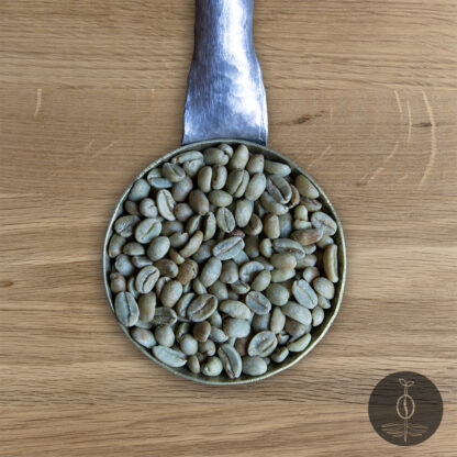 Close-up shot of Ethiopia Sidama green (raw) coffee beans in a handmade scoop with a wooden cutting board background.
