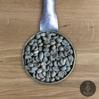 Close-up shot of Sumatra Gayo Mountain green (raw) coffee beans in a handmade scoop with a wooden cutting board background.