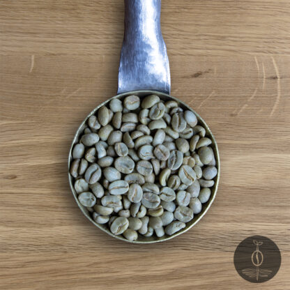 Close-up shot of Honduras Marcala Finca Adolfo green (raw) coffee beans in a handmade scoop with a wooden cutting board background.