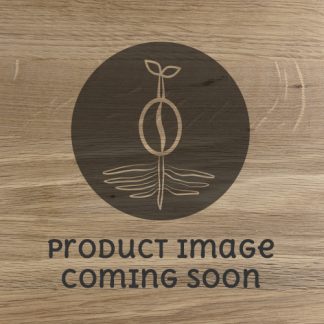 Sumatra, Gayo Mountain - Dark Roast