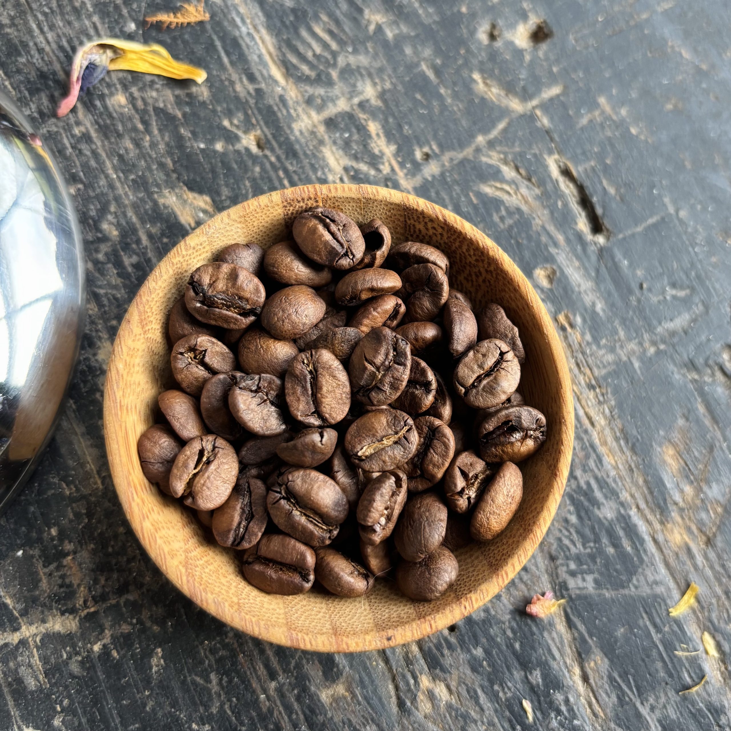 Am artistic close-up shot of the Brazil Paubrazil medium roast coffee beans, in a small wooden bowl atop a black counter with a tiny touch of dried flower petals on the table.