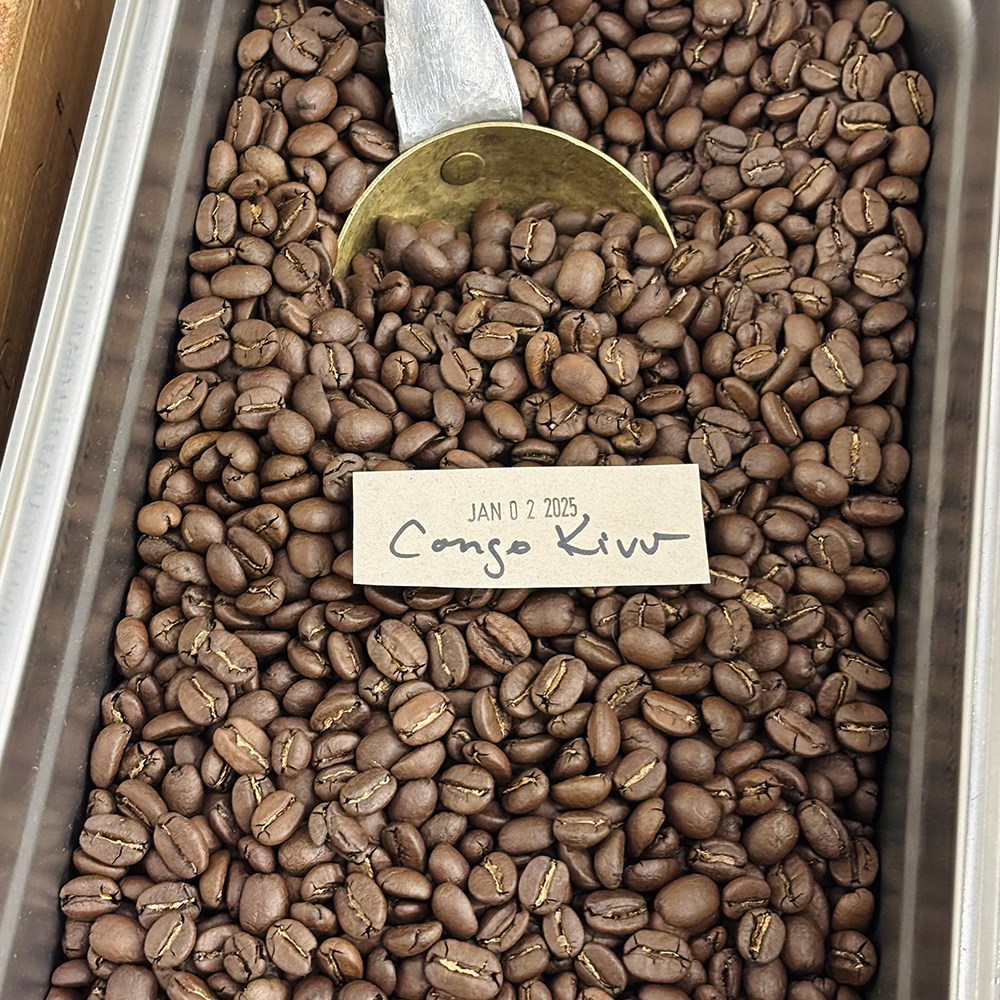A close-up view of the Congo, Kivu roasted coffee beans showing their shape, size, and uniformity of medium roast degree.