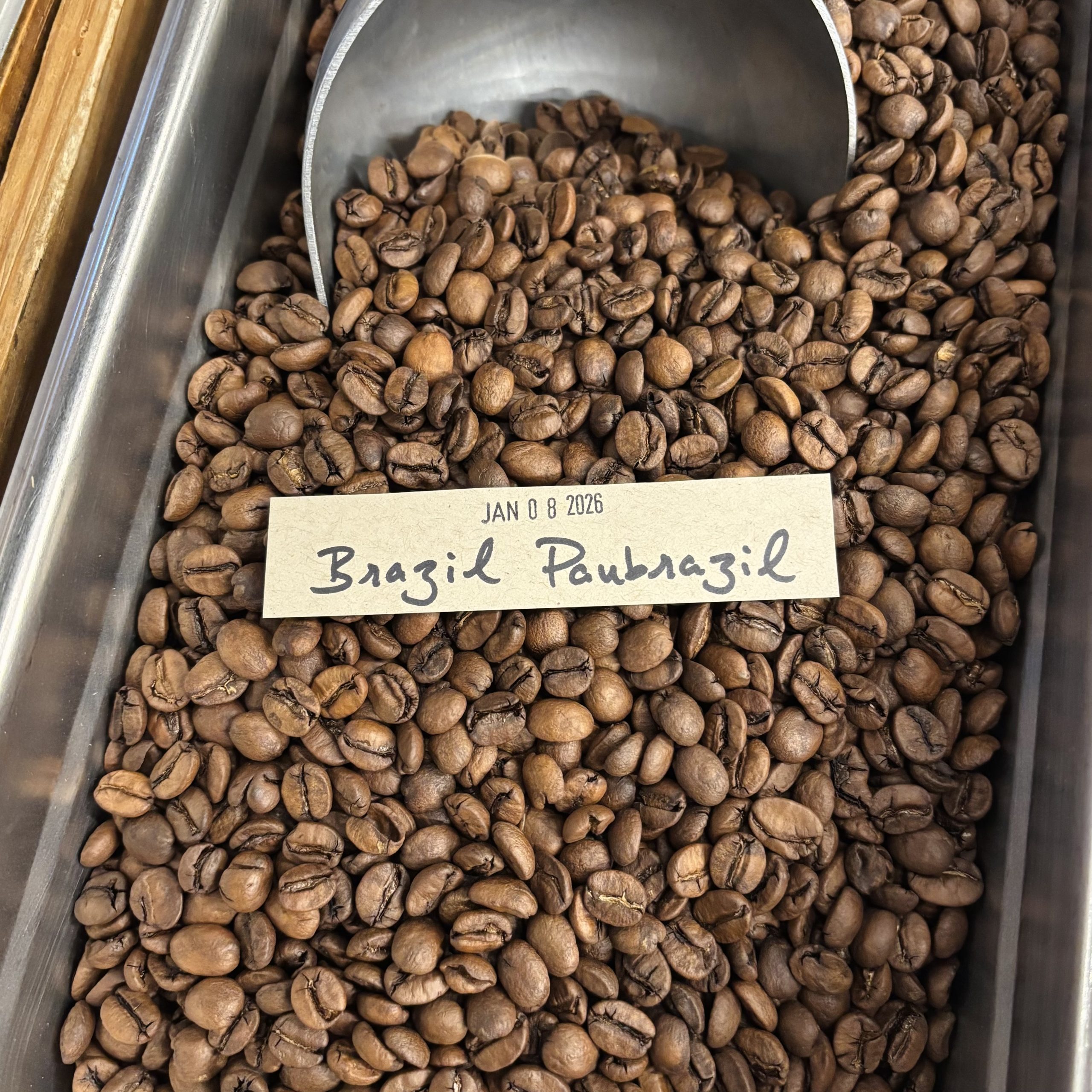 A close-up view of the Brazil Paubrazil roasted coffee beans showing their shape, size, and uniformity of medium roast degree.